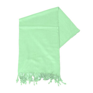 Pashmina Scarf: Mint