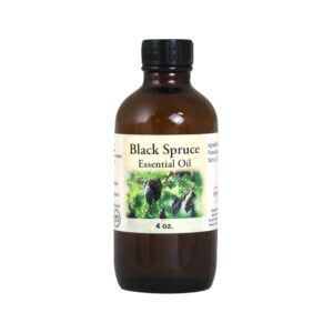 Black Spruce Essential Oil – 4 oz.