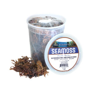 Wildcrafted Purple Sea Moss – 1 LB