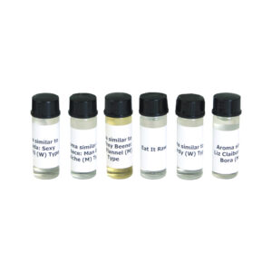 New Edition Fragrance Oil Samples (June 2024)